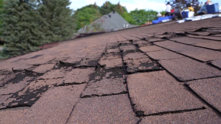 Best Sheet Metal Roofing  in Charlotte, TN