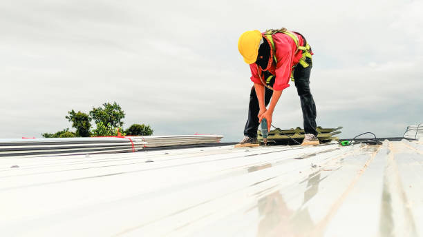 Best Gutter Installation and Repair  in Charlotte, TN
