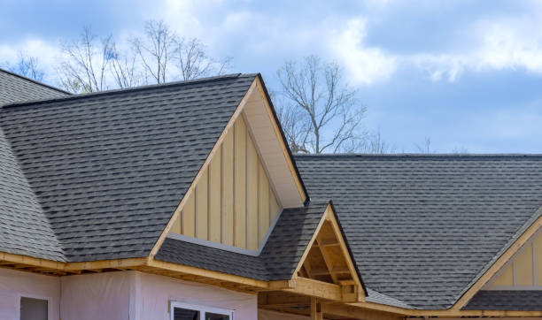 Best Roof Moss and Algae Removal  in Charlotte, TN