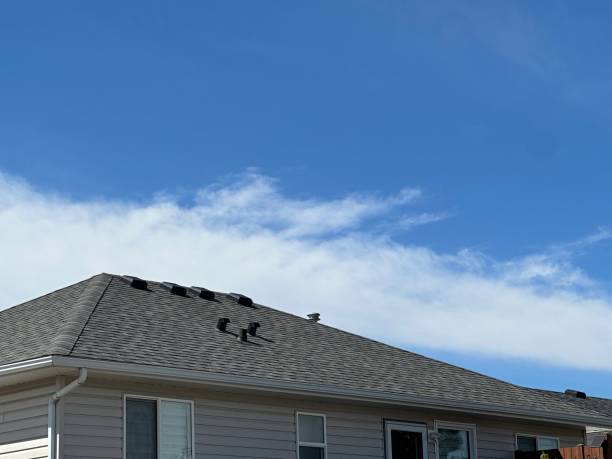 Best Roof Coating and Sealing  in Charlotte, TN